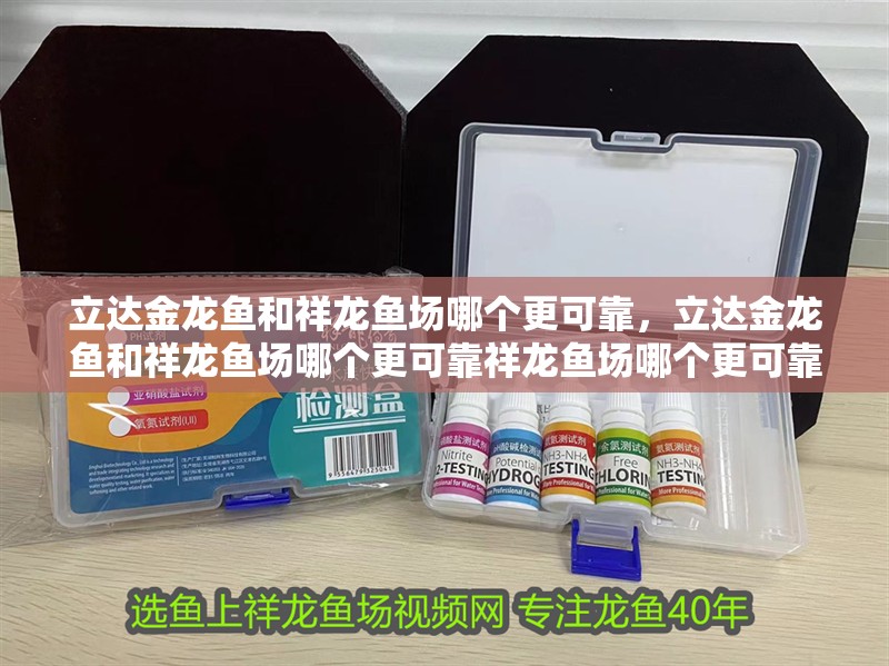 立達金龍魚和祥龍魚場哪個更可靠，立達金龍魚和祥龍魚場哪個更可靠祥龍魚場哪個更可靠