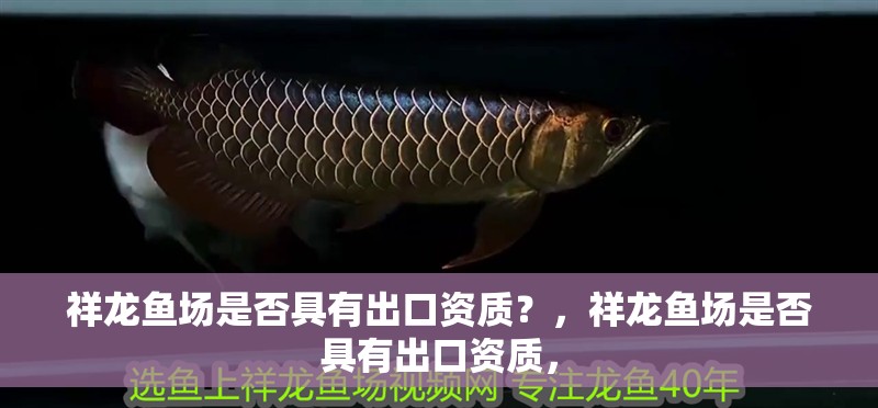 祥龍魚場是否具有出口資質？，祥龍魚場是否具有出口資質，