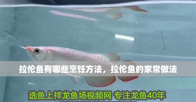拉倫魚有哪些烹飪方法，拉倫魚的家常做法