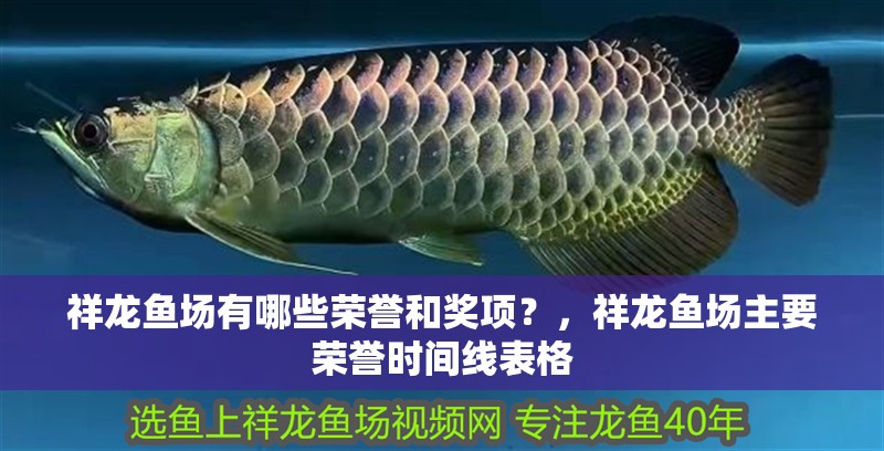 祥龍魚場有哪些榮譽和獎項？，祥龍魚場主要榮譽時間線表格