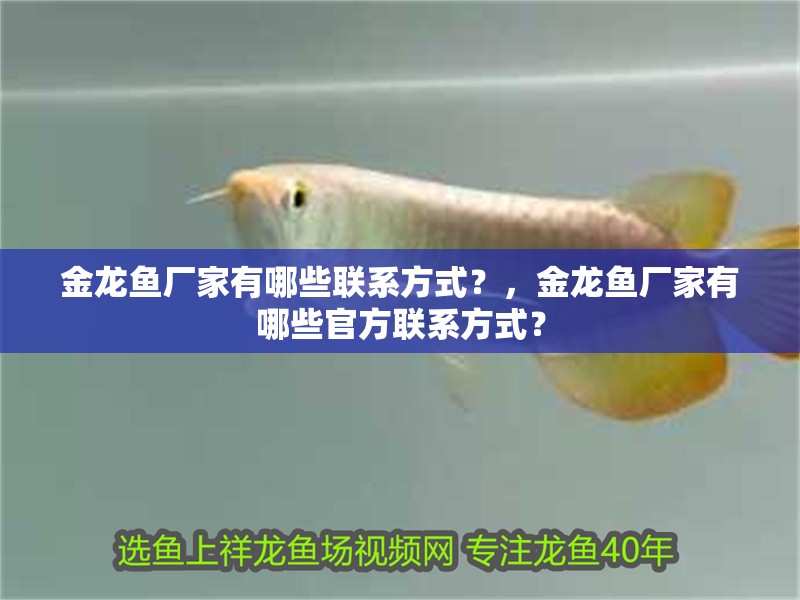 金龍魚廠家有哪些聯系方式？，金龍魚廠家有哪些官方聯系方式？
