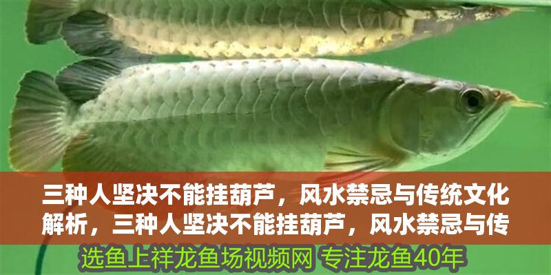 三種人堅決不能掛葫蘆，風水禁忌與傳統文化解析，三種人堅決不能掛葫蘆，風水禁忌與傳統文化解析