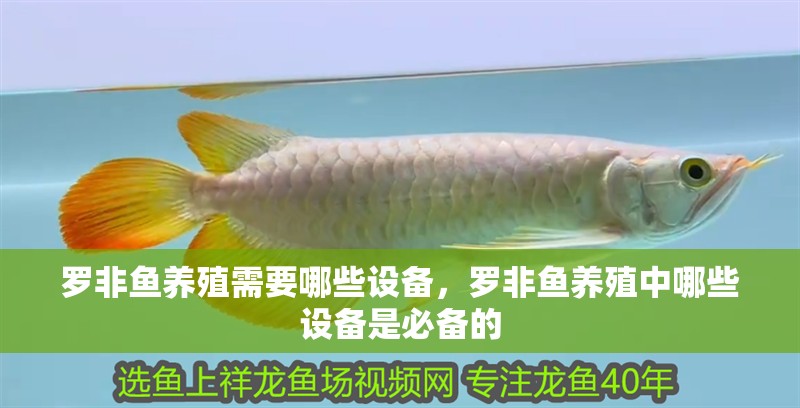 羅非魚養殖需要哪些設備，羅非魚養殖中哪些設備是必備的