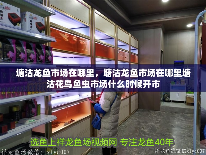 塘沽龍魚市場在哪里，塘沽龍魚市場在哪里塘沽花鳥魚蟲市場什么時候開市
