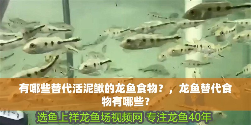 有哪些替代活泥鰍的龍魚食物？，龍魚替代食物有哪些？