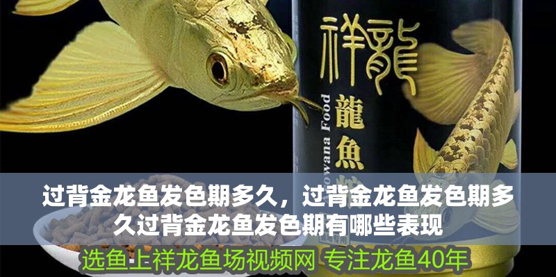 過背金龍魚發色期多久，過背金龍魚發色期多久過背金龍魚發色期有哪些表現