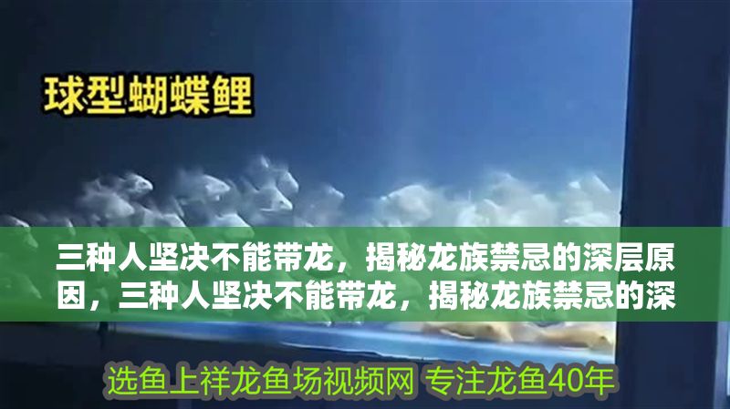三種人堅決不能帶龍，揭秘龍族禁忌的深層原因，三種人堅決不能帶龍，揭秘龍族禁忌的深層原因
