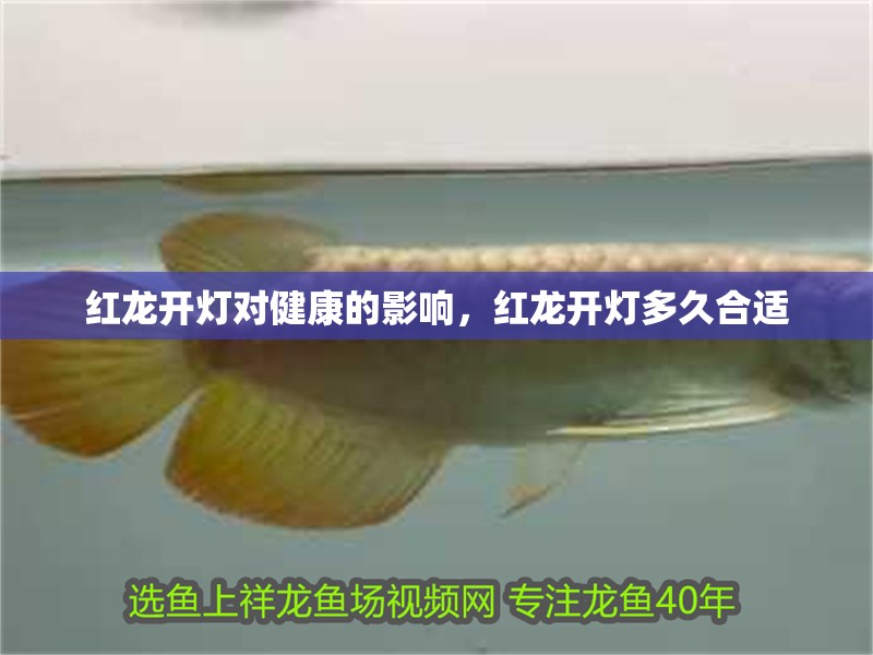 紅龍開(kāi)燈對(duì)健康的影響，紅龍開(kāi)燈多久合適