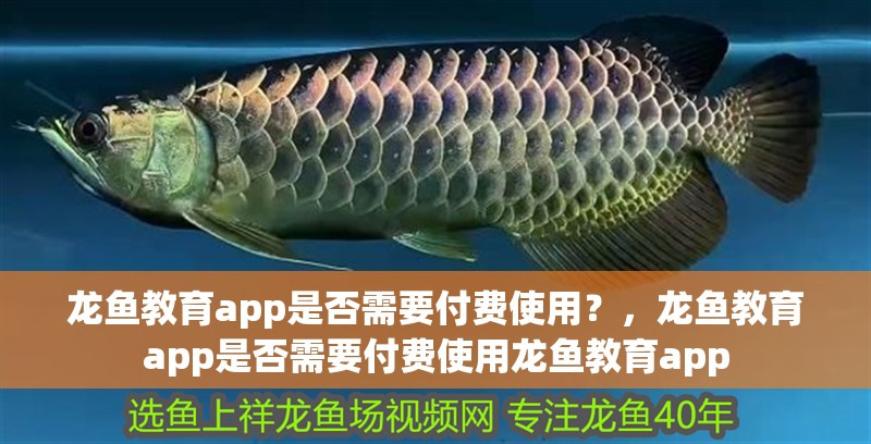 龍魚教育app是否需要付費使用？，龍魚教育app是否需要付費使用龍魚教育app