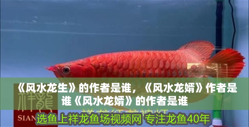 《風水龍生》的作者是誰，《風水龍婿》作者是誰《風水龍婿》的作者是誰