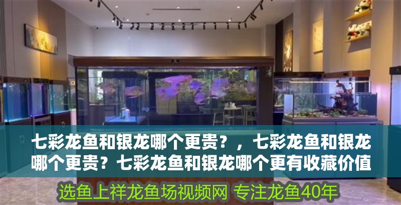 七彩龍魚和銀龍哪個更貴？，七彩龍魚和銀龍哪個更貴？七彩龍魚和銀龍哪個更有收藏價值？