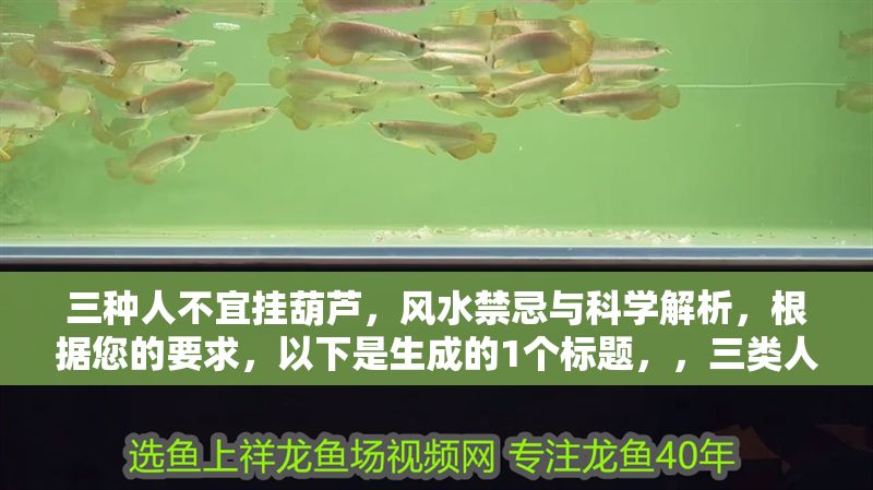 三種人不宜掛葫蘆，風水禁忌與科學解析，根據您的要求，以下是生成的1個標題，，三類人群慎掛葫蘆，風水禁忌與科學依據解析