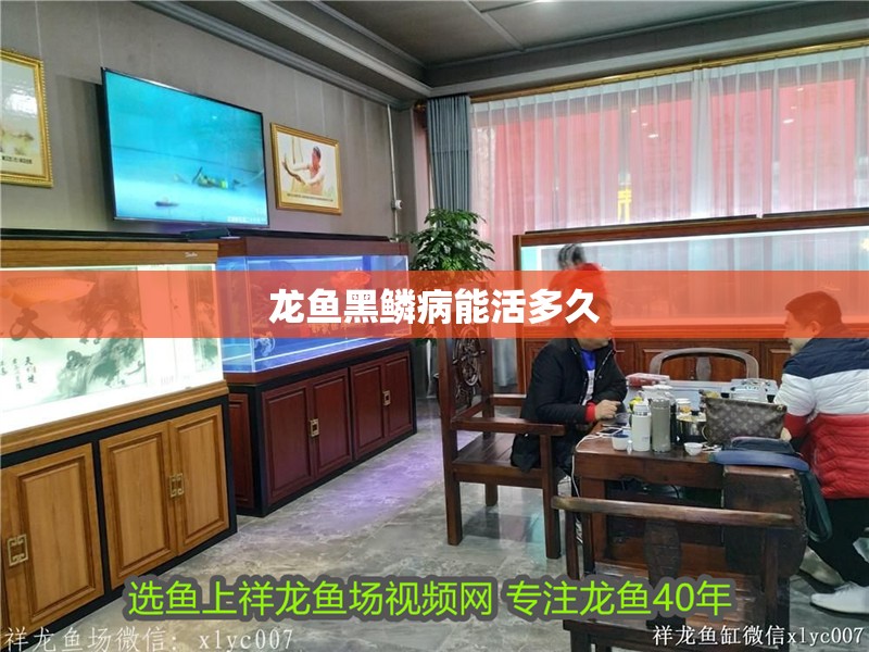 龍魚黑鱗病能活多久