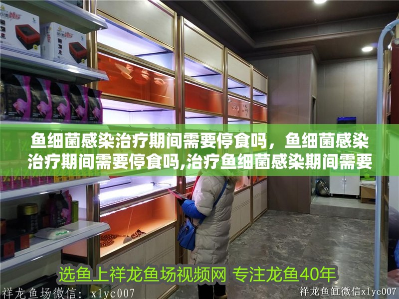 魚細菌感染治療期間需要停食嗎，魚細菌感染治療期間需要停食嗎,治療魚細菌感染期間需要停食嗎