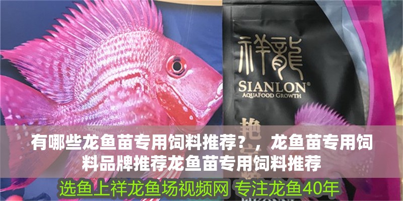有哪些龍魚苗專用飼料推薦？，龍魚苗專用飼料品牌推薦龍魚苗專用飼料推薦
