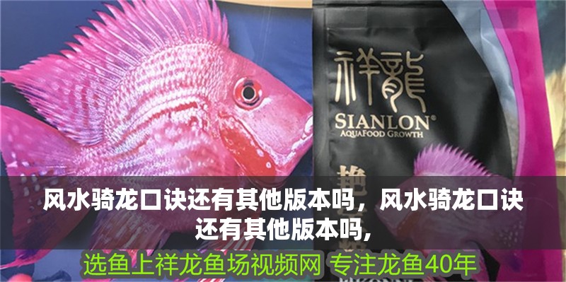 風水騎龍口訣還有其他版本嗎，風水騎龍口訣還有其他版本嗎,
