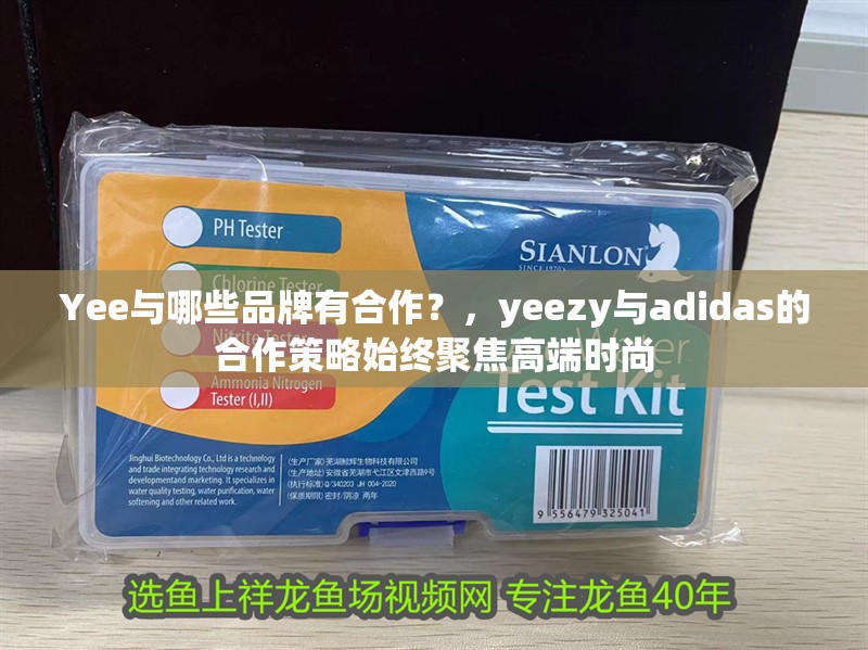 Yee與哪些品牌有合作？，yeezy與adidas的合作策略始終聚焦高端時尚