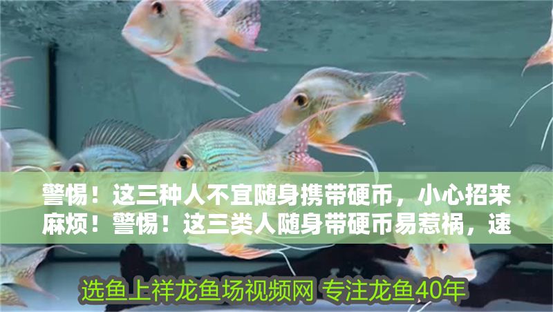 警惕！這三種人不宜隨身攜帶硬幣，小心招來麻煩！警惕！這三類人隨身帶硬幣易惹禍，速看避雷！
