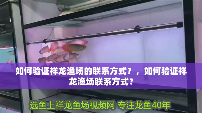 如何驗(yàn)證祥龍漁場(chǎng)的聯(lián)系方式？，如何驗(yàn)證祥龍漁場(chǎng)聯(lián)系方式？