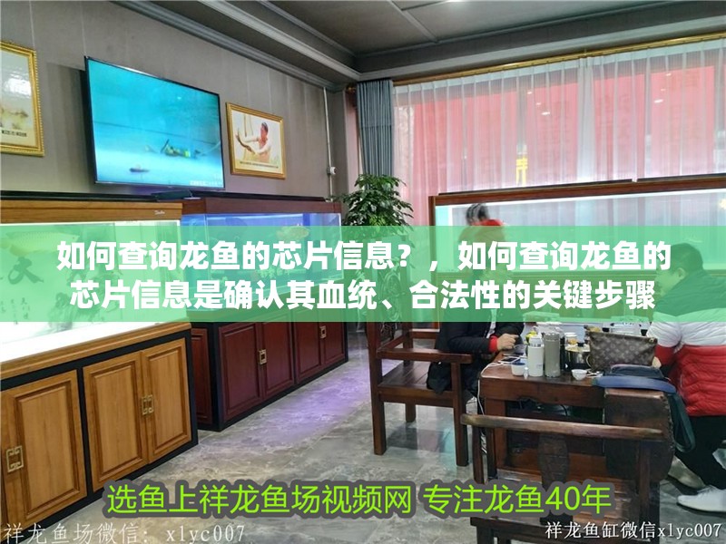 如何查詢龍魚的芯片信息?,如何查詢龍魚的芯片信息是確認(rèn)其血統(tǒng)、合法性的關(guān)鍵步驟