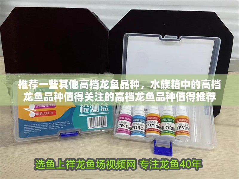 推薦一些其他高檔龍魚品種,水族箱中的高檔龍魚品種值得關(guān)注的高檔龍魚品種值得推薦