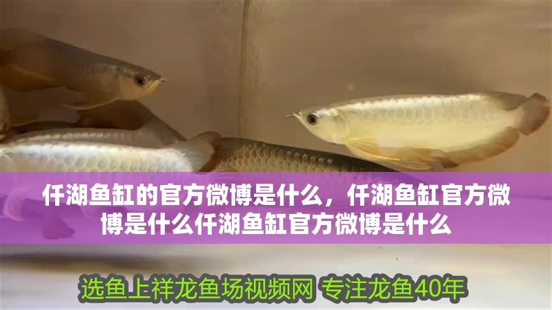 仟湖魚缸的官方微博是什么，仟湖魚缸官方微博是什么仟湖魚缸官方微博是什么
