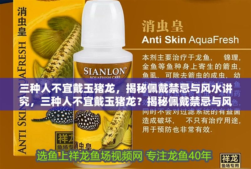 三種人不宜戴玉豬龍，揭秘佩戴禁忌與風水講究，三種人不宜戴玉豬龍？揭秘佩戴禁忌與風水講究