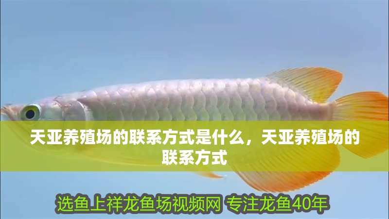 天亞養(yǎng)殖場的聯(lián)系方式是什么，天亞養(yǎng)殖場的聯(lián)系方式