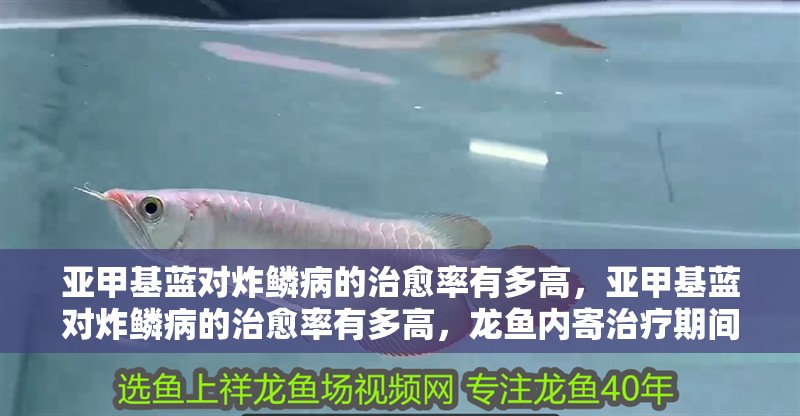 亞甲基藍對炸鱗病的治愈率有多高，亞甲基藍對炸鱗病的治愈率有多高，龍魚內寄治療期間要停食嗎