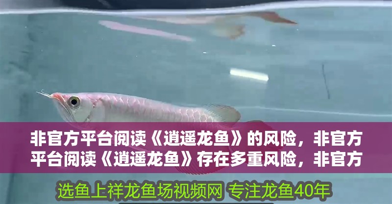 非官方平臺(tái)閱讀《逍遙龍魚》的風(fēng)險(xiǎn)，非官方平臺(tái)閱讀《逍遙龍魚》存在多重風(fēng)險(xiǎn)，非官方平臺(tái)閱讀風(fēng)險(xiǎn)