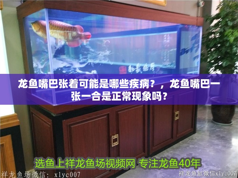 龍魚嘴巴張著可能是哪些疾病？，龍魚嘴巴一張一合是正?，F象嗎？