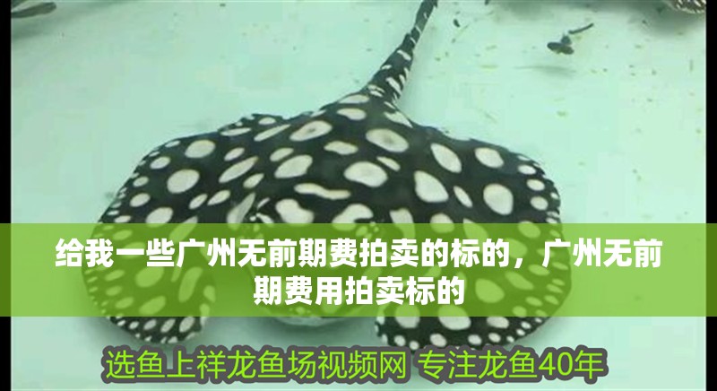 給我一些廣州無前期費拍賣的標的,廣州無前期費用拍賣標的