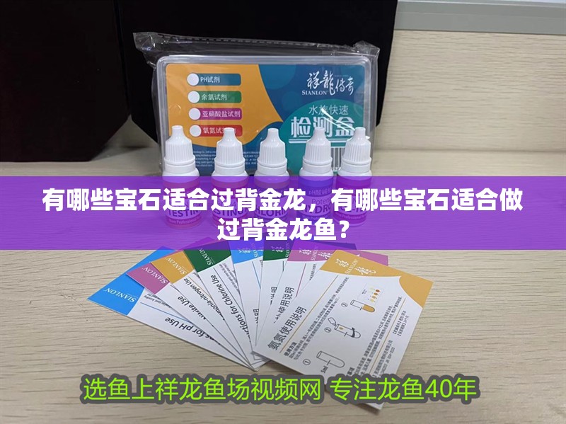 有哪些寶石適合過背金龍，有哪些寶石適合做過背金龍魚？