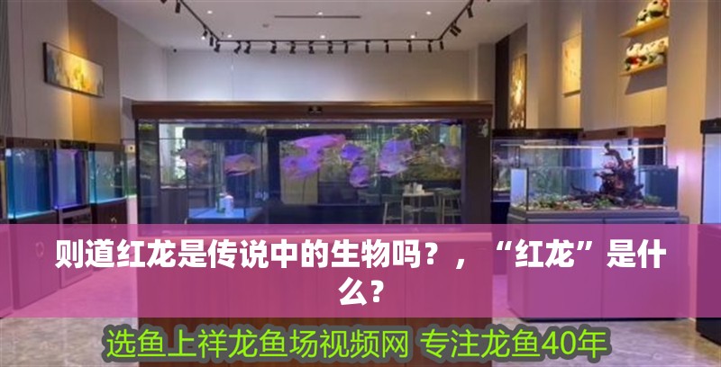 則道紅龍是傳說中的生物嗎？，“紅龍”是什么？