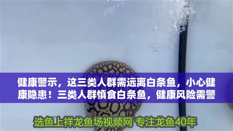 健康警示，這三類人群需遠(yuǎn)離白條魚，小心健康隱患！三類人群慎食白條魚，健康風(fēng)險(xiǎn)需警惕！