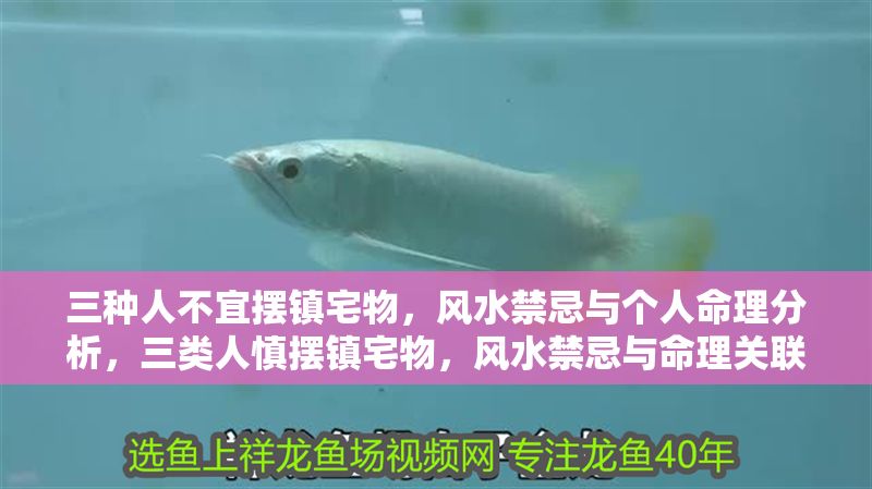 三種人不宜擺鎮宅物，風水禁忌與個人命理分析，三類人慎擺鎮宅物，風水禁忌與命理關聯解析 三種人不宜擺鎮宅物，風水禁忌與個人命理分析，三類人慎擺鎮宅物，風水禁忌與命理關聯解析 龍魚百科 第1張
