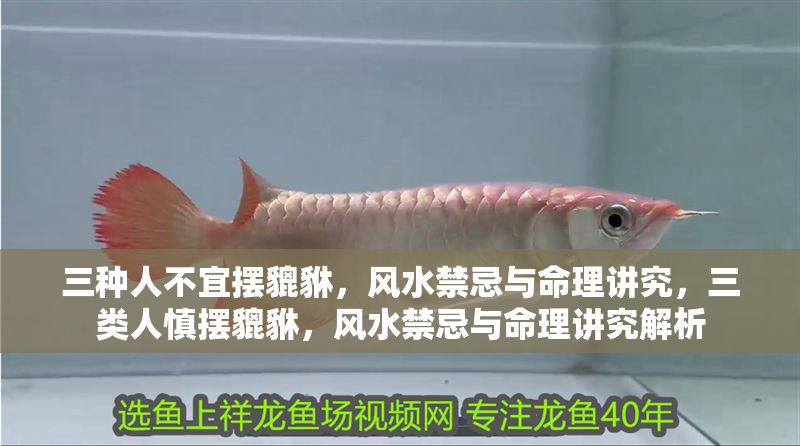 三種人不宜擺貔貅，風(fēng)水禁忌與命理講究，三類人慎擺貔貅，風(fēng)水禁忌與命理講究解析