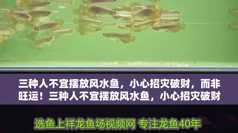 三種人不宜擺放風水魚，小心招災破財，而非旺運！三種人不宜擺放風水魚，小心招災破財而非旺運！