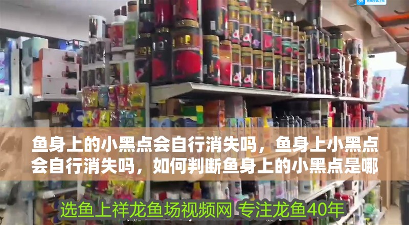 魚身上的小黑點(diǎn)會(huì)自行消失嗎，魚身上小黑點(diǎn)會(huì)自行消失嗎，如何判斷魚身上的小黑點(diǎn)是哪種原因