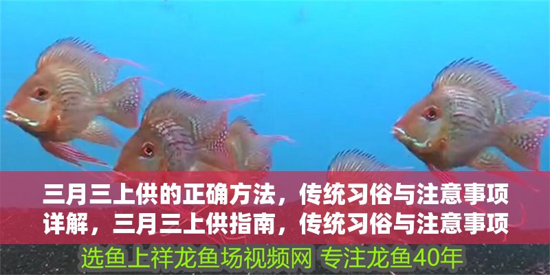 三月三上供的正確方法，傳統習俗與注意事項詳解，三月三上供指南，傳統習俗與注意事項全解析 三月三上供的正確方法，傳統習俗與注意事項詳解，三月三上供指南，傳統習俗與注意事項全解析 龍魚百科 第1張
