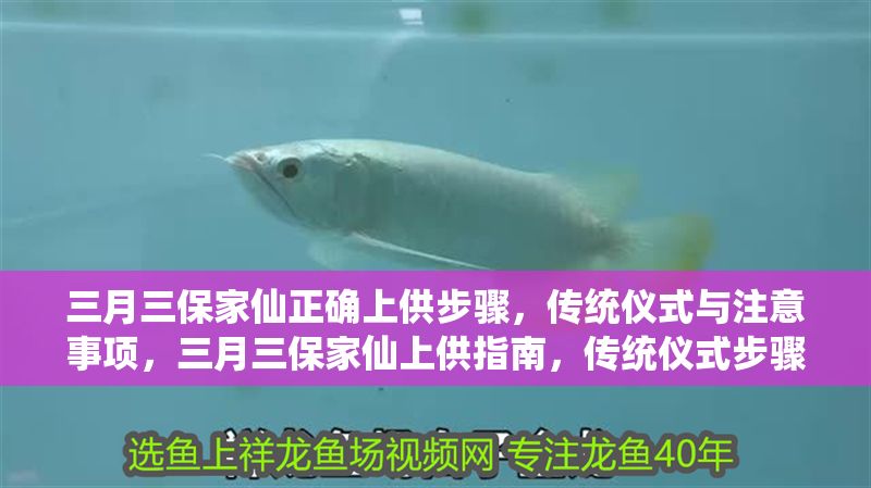 三月三保家仙正確上供步驟,傳統儀式與注意事項,三月三保家仙上供指南,傳統儀式步驟與注意事項詳解 龍魚百科 第1張 三月三保家仙正確上供步驟,傳統儀式與注意事項,三月三保家仙上供指南,傳統儀式步驟與注意事項詳解 三月三保家仙正確上供步驟,傳統儀式與注意事項,三月三保家仙上供指南,傳統儀式步驟與注意事項詳解 龍魚百科 第1張