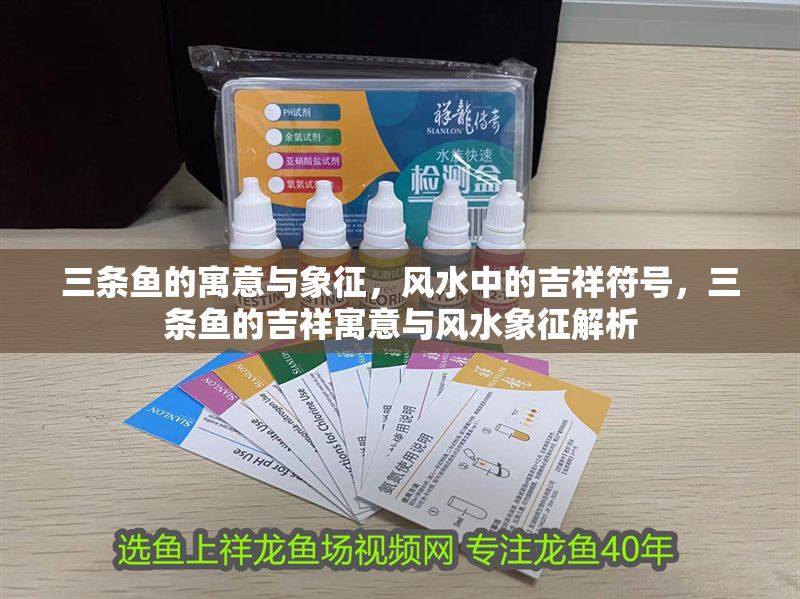 三條魚的寓意與象征，風水中的吉祥符號，三條魚的吉祥寓意與風水象征解析 三條魚的寓意與象征，風水中的吉祥符號，三條魚的吉祥寓意與風水象征解析 龍魚百科 第1張