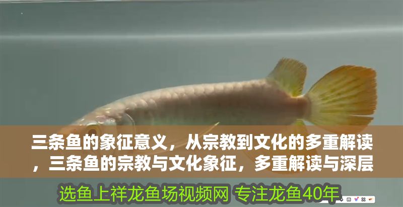 三條魚(yú)的象征意義，從宗教到文化的多重解讀，三條魚(yú)的宗教與文化象征，多重解讀與深層意涵
