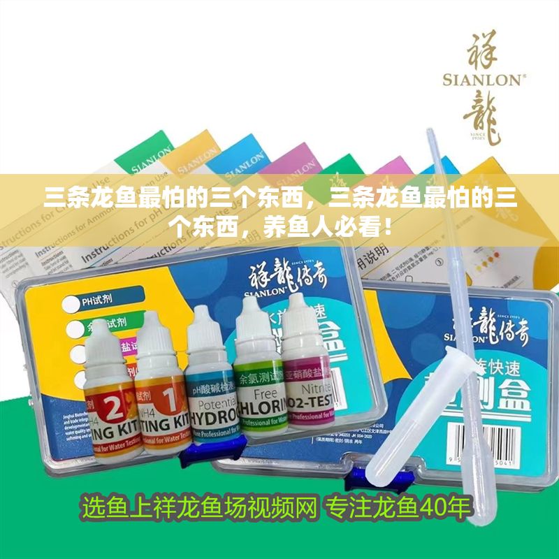 三條龍魚最怕的三個東西，三條龍魚最怕的三個東西，養魚人必看！