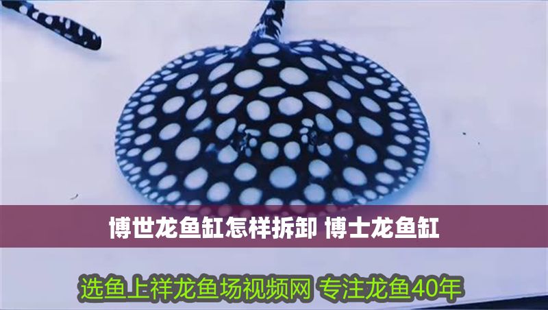 博世龍魚缸怎樣拆卸 博士龍魚缸 博世龍魚缸怎樣拆卸 博士龍魚缸 龍魚百科 第1張