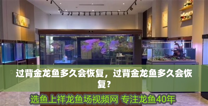 過背金龍魚多久會恢復(fù)，過背金龍魚多久會恢復(fù)？