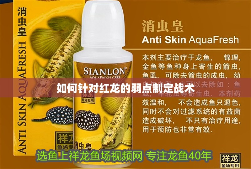 如何針對紅龍的弱點制定戰術