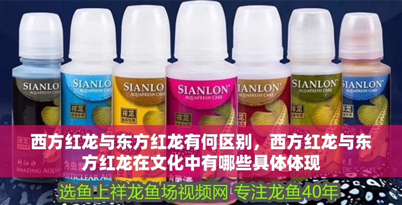 西方紅龍與東方紅龍有何區別，西方紅龍與東方紅龍在文化中有哪些具體體現