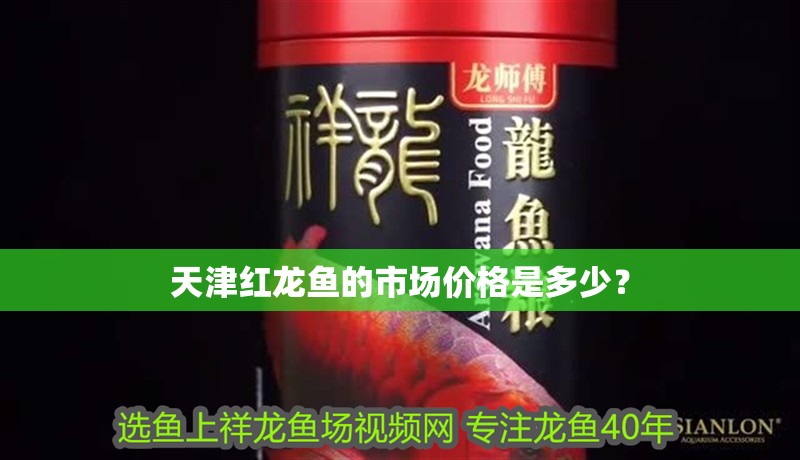 天津紅龍魚的市場價格是多少？