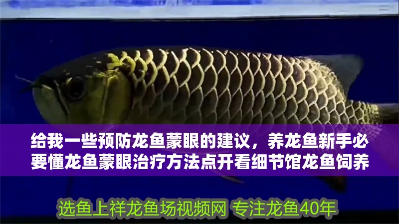 給我一些預防龍魚蒙眼的建議，養龍魚新手必要懂龍魚蒙眼治療方法點開看細節館龍魚飼養秘籍